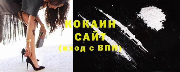 индика Белокуриха