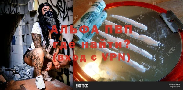 индика Белокуриха