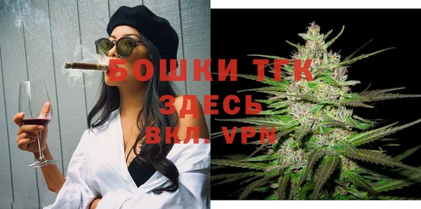 индика Белокуриха