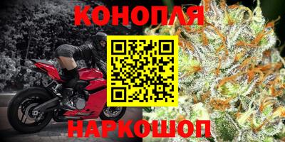 шишки Татарск