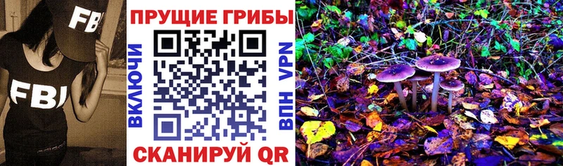 Галлюциногенные грибы прущие грибы  блэк спрут онион  Сердобск 