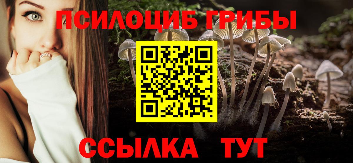 Псилоцибиновые грибы прущие грибы Сердобск
