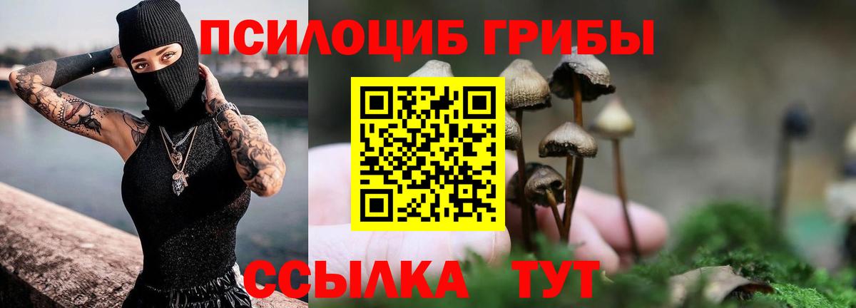 Псилоцибиновые грибы прущие грибы  Вход с VPN  Сердобск 